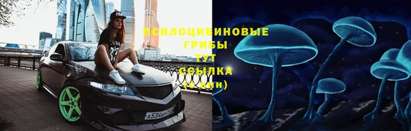 а пвп мука Няндома