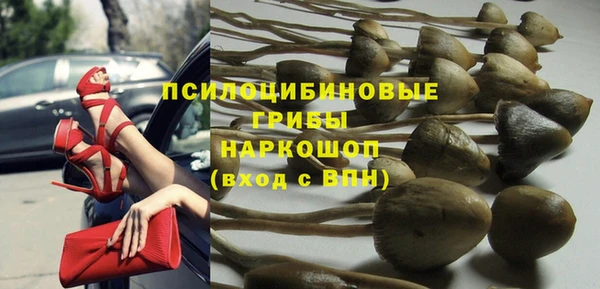 гидра Кущёвская