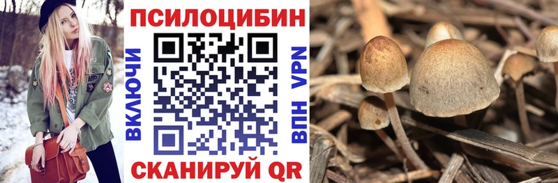 Галлюциногенные грибы Psilocybe Шарья